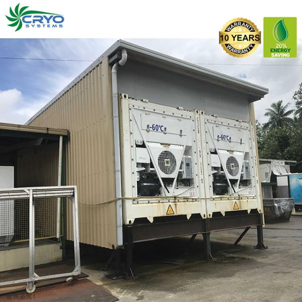 Ultra-low temperature freezer storage container Reefer Container for sale 20ft 40ft -60C