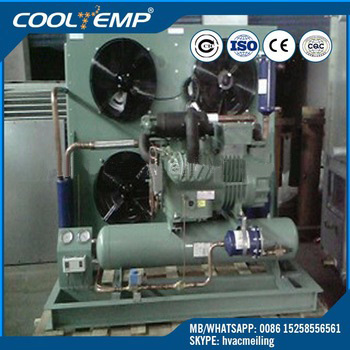 Double Stage Air Cooled Condensing Unit For Blast Freezer Room