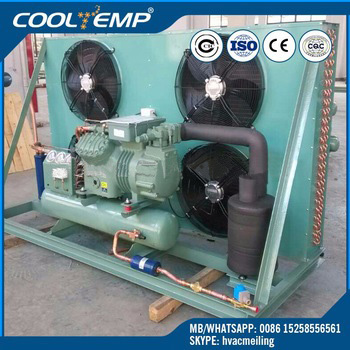 High Quality Bitzer Cold Room Unit From China Manufacturer