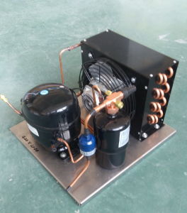 Purswave 1/5HP R134A Lbp Compressor Condensing Units Low Temperature