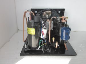 Purswave 1HP Air-Cooled Compressor Condensing Unit for Mini Air Conditioner and Dehumidifier 220V/50Hz 110V/60Hz 220V/60Hz R22