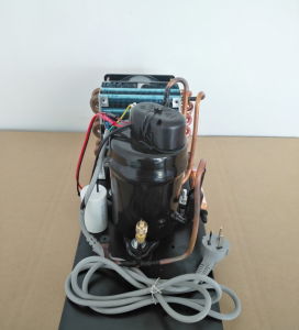 Purswave 1/5HP 2/9HP Air-Cooled Compressor Condensing Unit for Mini Air Conditioner and Dehumidifier 220V/50Hz 110V/60Hz 220V/60Hz