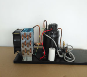 Purswave 1/6HP Air-Cooled Compressor Condensing Unit for Mini Air Conditioner and Dehumidifier 220V/50Hz 110V/60Hz 220V/60Hz
