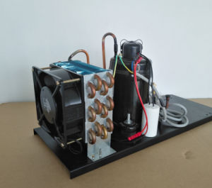 Purswave 1/6HP Air-Cooled Compressor Condensing Unit for Mini Air Conditioner and Dehumidifier 220V/50Hz 110V/60Hz 220V/60Hz