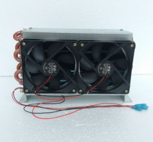 Purswave Fn4X6X240 Mini Evaporator Condenser with 2PCS12V24V220V120*120mm Fan Fin Space Copper Tube Heat Exchanger 1200W Capacity