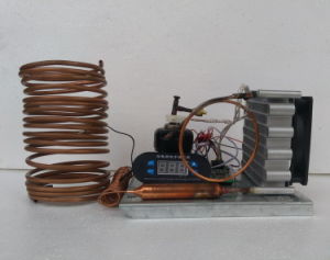 Purswave St14DC24h DC Tiny Refrigeration Compressor DC 24V for Mini Water Cooler Refrigeraor, Air-Conditioner, Cooling Capacity 100~300W Rotary Compressor