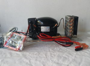 Purswave Bd25hc Compressor Condensing Units DC 12V 24V 48V for Solar Refrigerator Freezer Showcase Vehicle Fridge