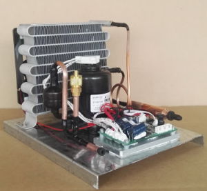 Purswave St19DC12hc DC12V Mini Condensing Units Refrigeration Compressor Units Condenser