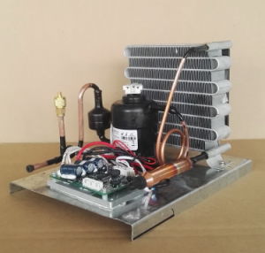 Purswave St19DC12hc DC12V Mini Condensing Units Refrigeration Compressor Units Condenser