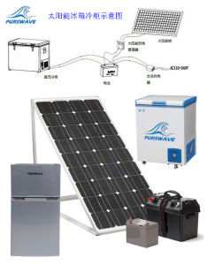 Purswave 218L Glass Door Solar Chest Freezer 12V24V48V Compressor Battery Refrigerator