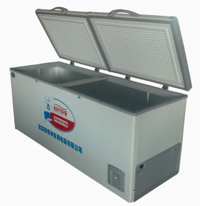 Purswave 568L DC24V48V220V110V Super Large Solar Freezer Battery Freezer