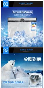 Purswave Bd/Bc-100  DC Freezer Portable Refrigerator Solar Fridge DC12V24V48V Battery Freezer