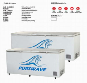 Purswave 1000L DC24V48V220V110V Solar Freezer Battery Powered Compressor Refrigerating