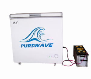 Purswave Bd/Bc-145 145L Dsolar Chest Freezer 12V24V48V Compressor Battery Refrigerator