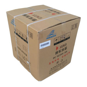 Purswave Bd/Bc-145 145L Dsolar Chest Freezer 12V24V48V Compressor Battery Refrigerator