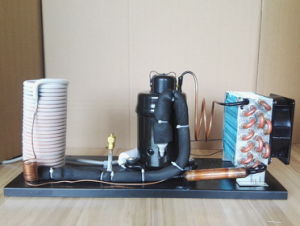 Purswave Qx28W Refrigeration Units Water Cooling Units Mini Refrigeration System 220V/50Hz R134A