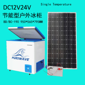 Purswave DC 100ah 12V 24V48V72V Storage Lead Acid Battery for DC Refrigerator 12V Freezer Solar Fridge