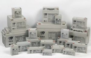 Purswave DC 200ah 12V 24V48V72V Storage Lead Acid Battery for DC Refrigerator 12V Freezer Solar Fridge