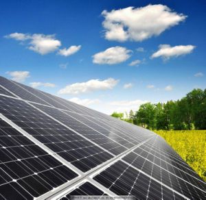 Purswave 100W 12V Solar Cells and Panels with Controller for DC Refrigerator 12V Fridge 24V Freezer