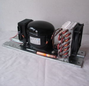 Purswave Bd35hc DC Compressor Condensing Units for Max. 250 Liters Refrigerator 12V24V48V72V Compressor Condenser Thermostate