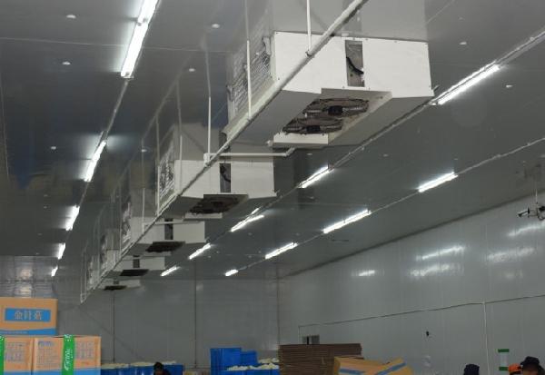 Double Side Blowing Air Cooler for Cold Storage Room