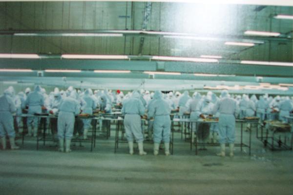 Double Side Blowing Air Cooler for Cold Storage Room
