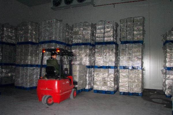 Industrial Brine Unit Cooler for Cold Storage