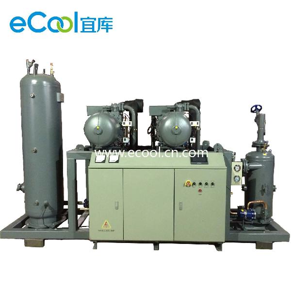 Compressor Unit for Fresh Keeping Cold Room Agricultural Storage