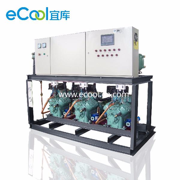Low Temperature Piston Parallel Compressor Unit -Bitzer Compressor for Cold Room