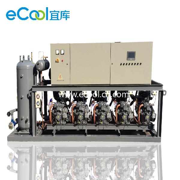 Low Temperature Parallel Piston for Cold Room