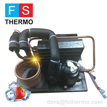 R134A DC 12V 24V 300W Mini Liquid Chiller cooler Unit Personal Battery Solar Cooling Systems