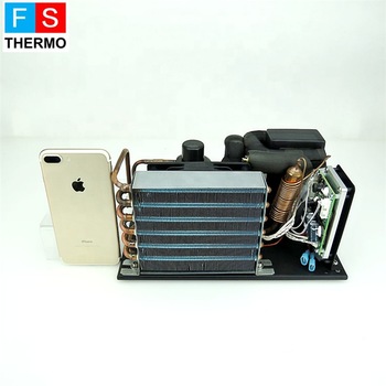 24v 48v mini liquid chiller unit water cooler for water cooling system pc