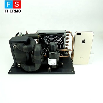 Cutomized dc 12v 24v 48v mini refrigeration small water chiller  module unit for personal cooling system