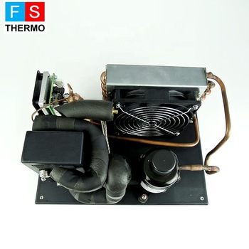 dc 24v 48V 400W electric mini refrigeration liquid chiller unit for car cooling system