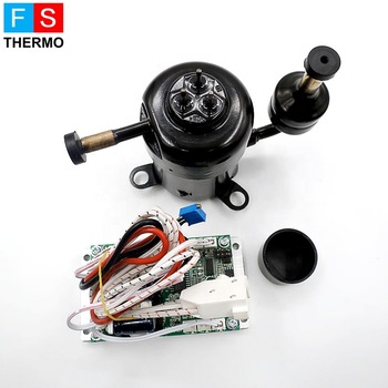 r134a 12v bldc mini rotary inverter hermetic refrigerator compressor