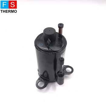 r290 bldc 24v 3000BTU small mini rotary inverter hermetic compressor for car air conditioner