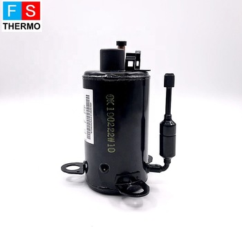 r290 bldc 24v 3000BTU small mini rotary inverter hermetic compressor for car air conditioner