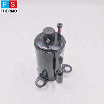 r290 bldc 24v 3000BTU small mini rotary inverter hermetic compressor for car air conditioner