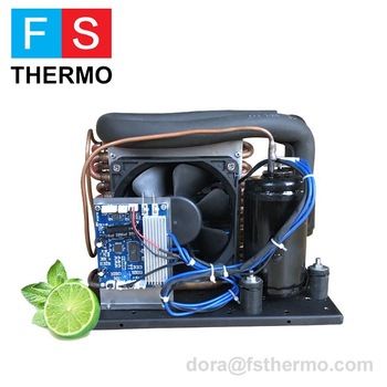 Orginal electric DC 24v compressor system for potable refrigerator fridge Medical with solar battery power
