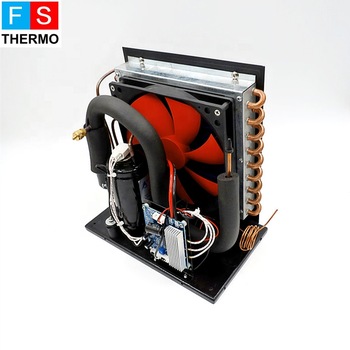 dc 12v low temperature condensing unit mini for mini cold storage