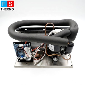 dc 24v powerful mini cooling compressor condensing units