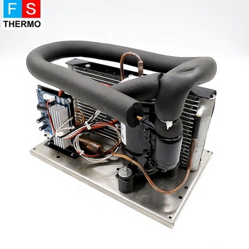dc 24v powerful mini cooling compressor condensing units