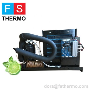 r134a dc 12v 24v mini small refrigerator system compact condensing cooling unit