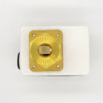 Water flow switch paddle type for HVAC industry