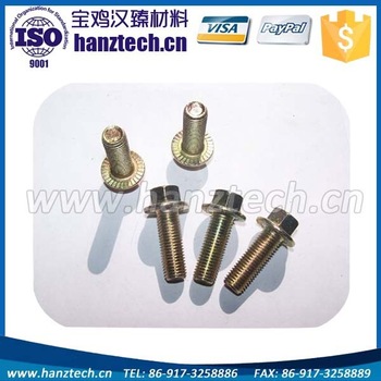 Ti Screw Bolt Hexagon Head Flange