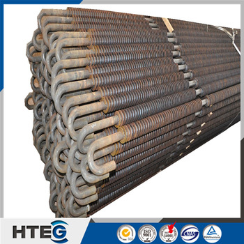 China manufacture high quality clean renewable biomass boiler econozmizer
