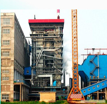 china whole sale certified Grade A maker Hengtao supplier HTEG 130 5 29 M circulating fluidized bed boiler
