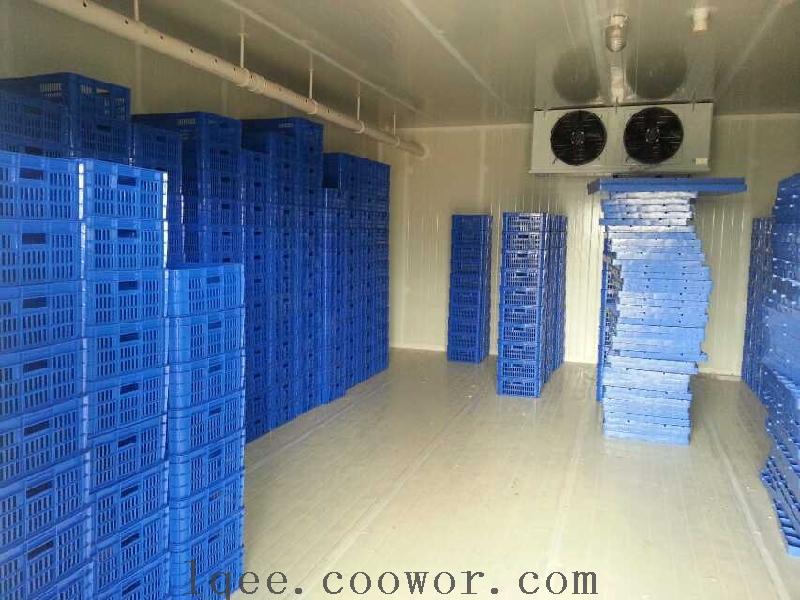 fruit cold storage,cold room,banana ripening room