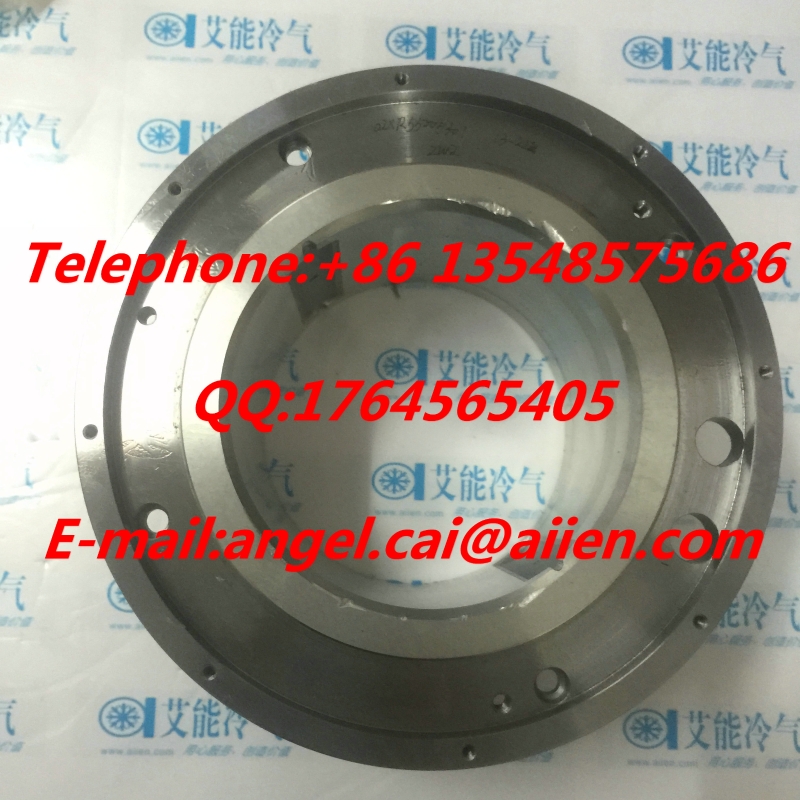 02XR55005301 bearing(2)