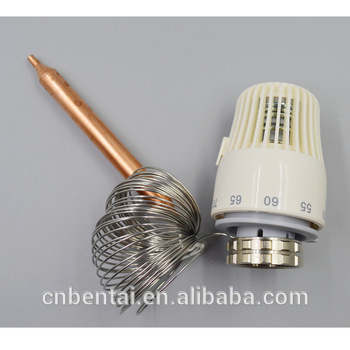 20 60 degree adjustable capillary thermostat